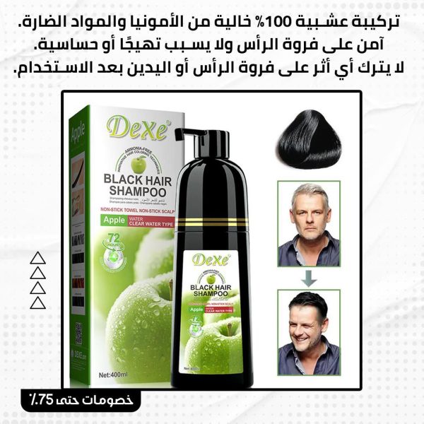 ⁦شامبو تغطية الشيب⁩ - الصورة ⁦3⁩